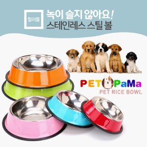 [아솔플러스]컬러 스테인레스 애견식기 애완용품 개밥그릇/사이즈- L(색상 랜덤)